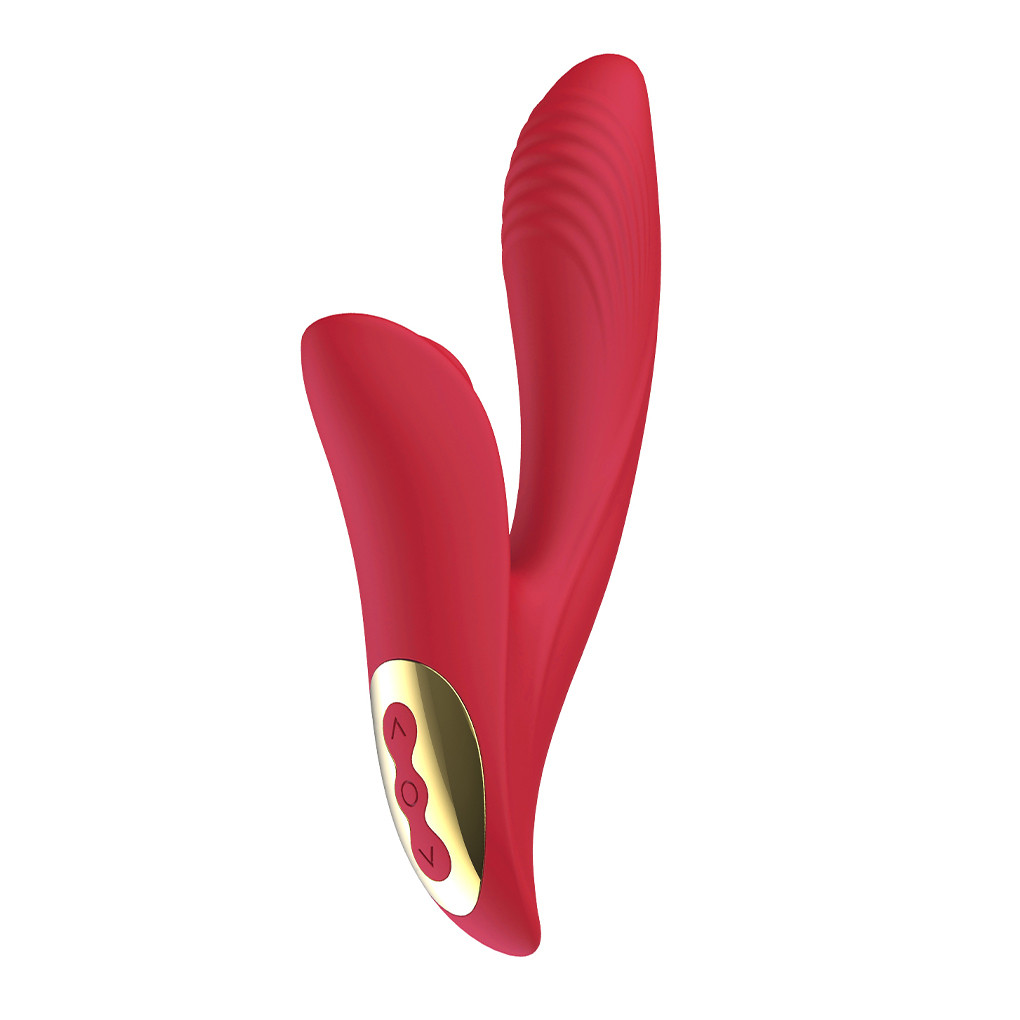 Vibrador Silicone Recarregável Penetrável com Pulsação - 1491