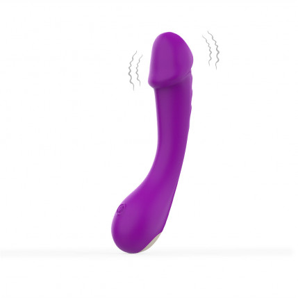 Vibrador para Ponto G Recarregável com 9 Modos de Vibração - 8282