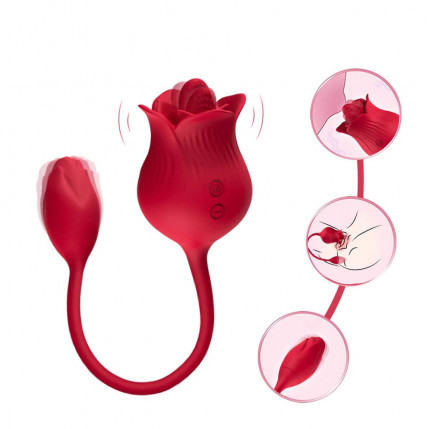 Vibrador Duplo Flexível em Formato de Rosa - USK - 9805